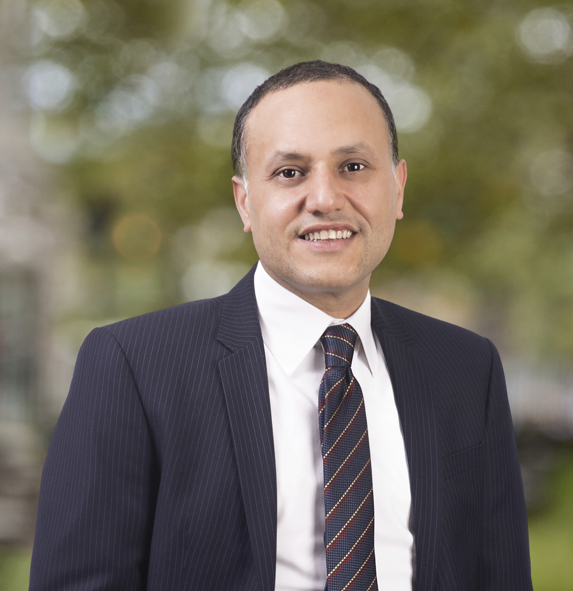 Walid Al-Dal image